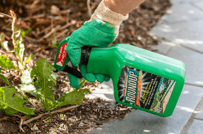 Did You Use Roundup Weed Killer at Home?